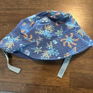 Patagonia Classic Blue Hat Essential Accessory
